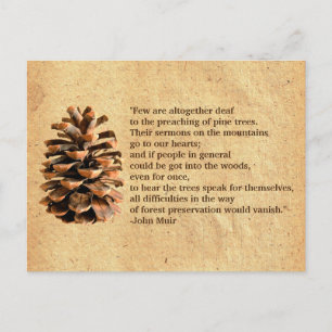 Pine Cone en John Muir Quote Briefkaart