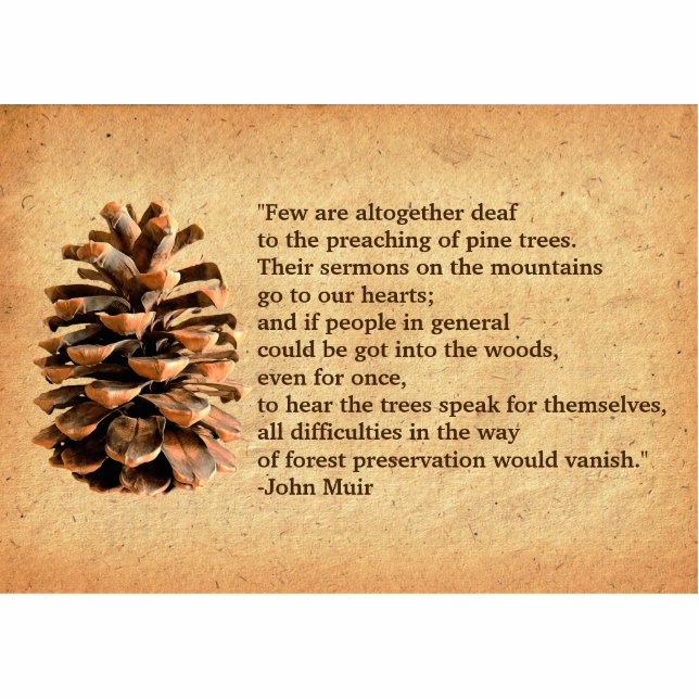Pine Cone en John Muir Quote Fotobeeldje Magneet (Voorkant)