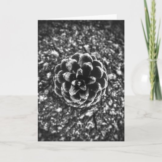 Pine Cone Kaart (Voorkant)