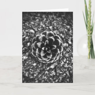 Pine Cone Kaart