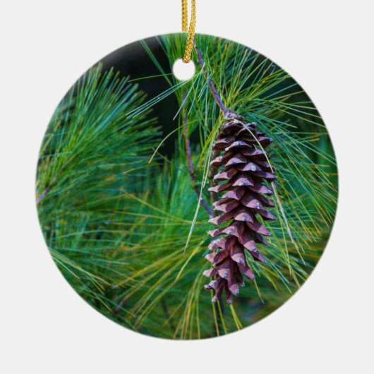 Pine Cone Keramisch Ornament (Voorkant)