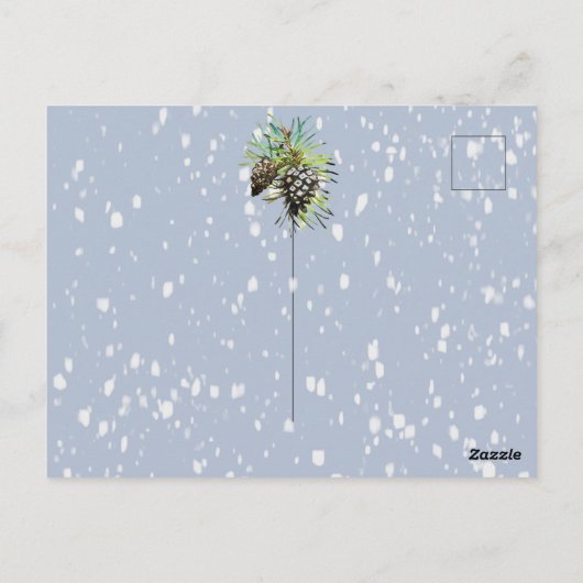 Pine cone kerstkaart briefkaart (Achterkant)
