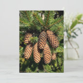 Pine Cone Magic Feestdagenkaart (Staand voorkant)