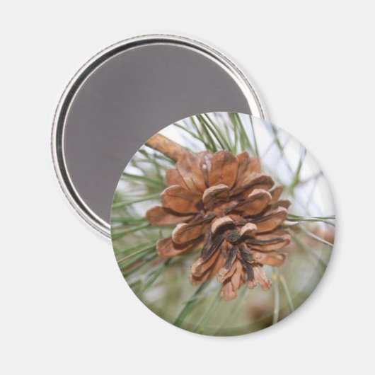 Pine Cone Magneet (Voorkant / Achterkant)