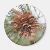 Pine Cone Magneet (Voorkant)