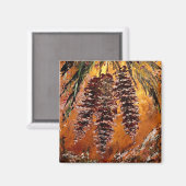 Pine Cone Magnet (Voorkant / Achterkant)