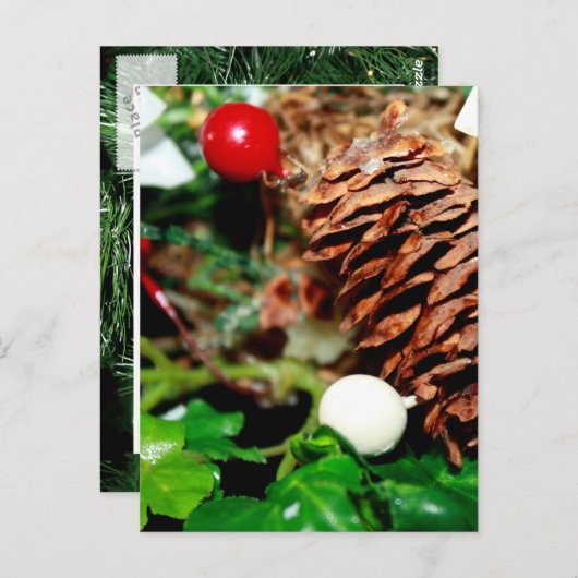 Pine Cone met Ivy Briefkaart (Voorkant / Achterkant)