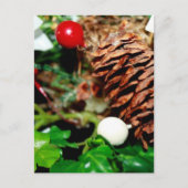 Pine Cone met Ivy Briefkaart (Voorkant)