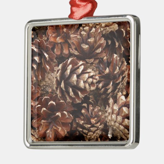 Pine Cone Ornament (Links)