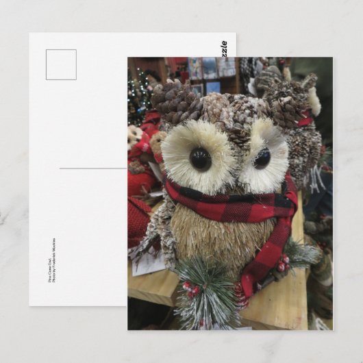 Pine Cone Owl Briefkaart (Voorkant / Achterkant)