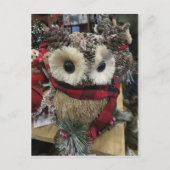 Pine Cone Owl Briefkaart (Voorkant)