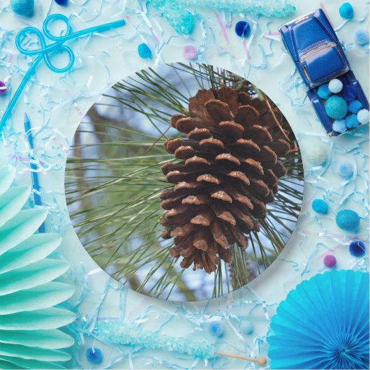 Pine Cone Papieren Bordje (Feest)
