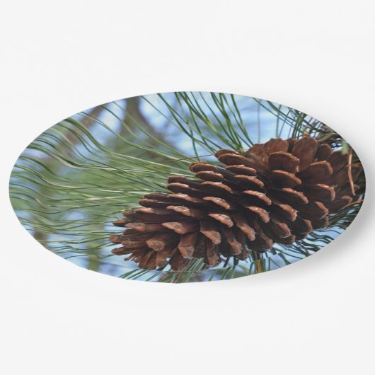 Pine Cone Papieren Bordje (Gekanteld)