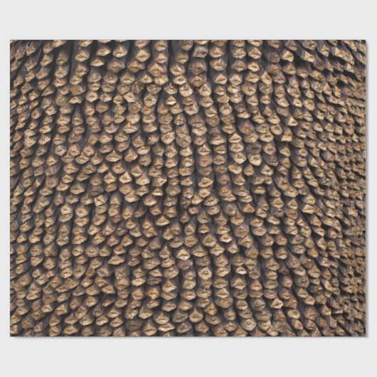 Pine Cone Pattern Cadeaupapier (Vlak)