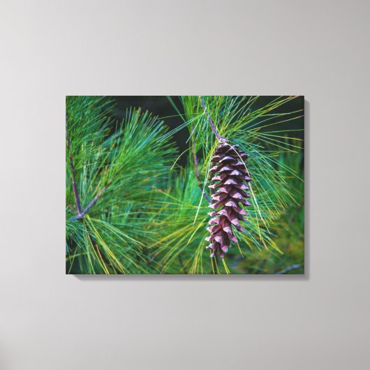 Pine Cone Portrait Canvas Afdruk (Voorkant)