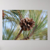 Pine Cone Poster (Voorkant)