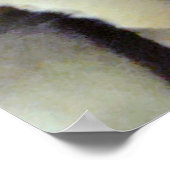 Pine Cone Poster (Hoek)