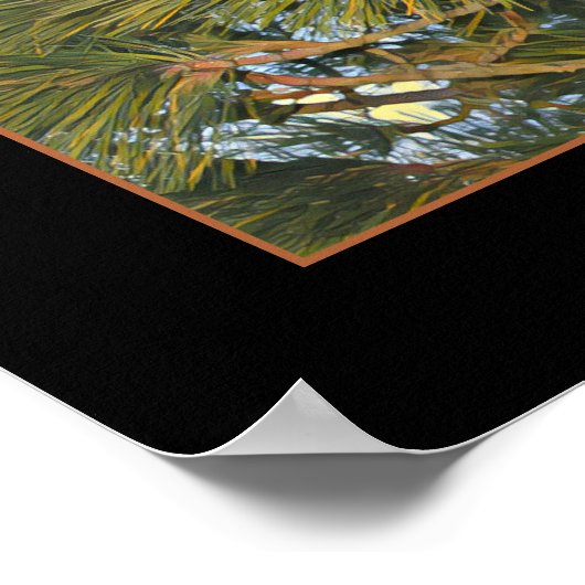 Pine Cone Poster (Hoek)