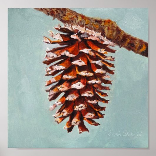 Pine Cone Poster (Voorkant)