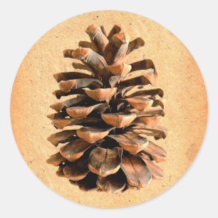 Pine Cone Ronde Sticker