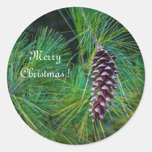 PIne Cone Ronde Sticker (Voorkant)