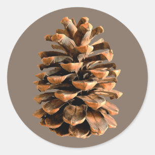 Pine Cone Ronde Sticker