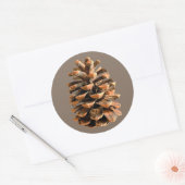Pine Cone Ronde Sticker (Envelop)