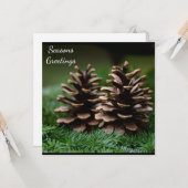 Pine Cone Seasons Greetings Briefkaart (Voorkant / Achterkant in situ)