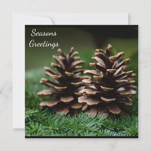 Pine Cone Seasons Greetings Briefkaart (Voorkant)