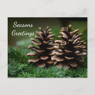 Pine Cone Seasons Greetings Briefkaart
