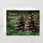 Pine Cone Seasons Greetings Briefkaart (Voorkant / Achterkant)