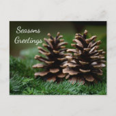 Pine Cone Seasons Greetings Briefkaart (Voorkant)