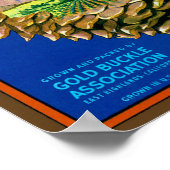 Pine Cone-Sinaasappels Poster (Hoek)