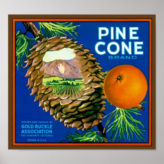 Pine Cone-Sinaasappels Poster (Voorkant)