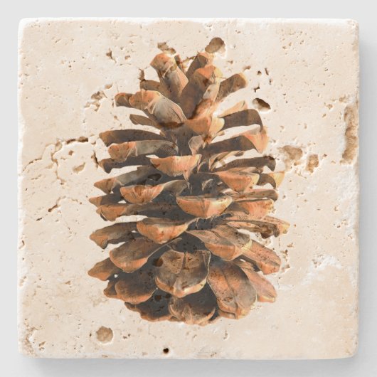 Pine Cone Stenen Onderzetter (Voorkant)