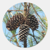 Pine Cone Stickers (Voorkant)