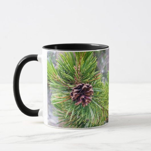 Pine Cone van Lodgepole Pine Mok (Links)