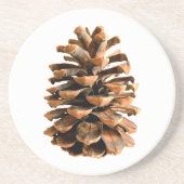 Pine Cone Zandsteen Onderzetter (Voorkant)