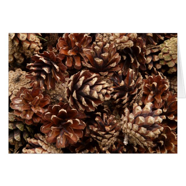 Pine Cones Blank Kaart (Voorkant Horizontaal)