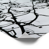 Pine Cones Branches Silhouette Fotografie Poster (Hoek)