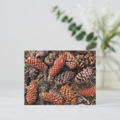 Pine Cones Briefkaart (Staand voorkant)