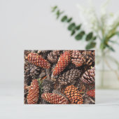 Pine Cones Briefkaart (Staand voorkant)