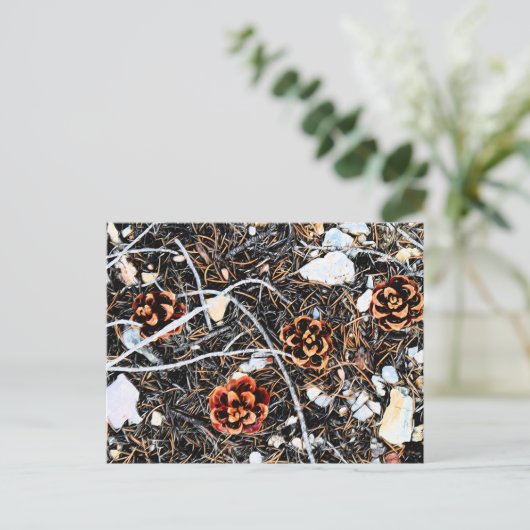 Pine Cones Briefkaart (Staand voorkant)
