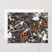 Pine Cones Briefkaart (Voorkant / Achterkant)