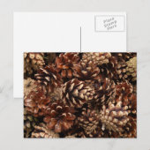 Pine Cones Briefkaart (Voorkant / Achterkant)