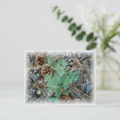 Pine Cones en Fern Briefkaart (Staand voorkant)