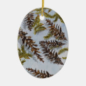 Pine Cones Evergreen Branches Vakantie Ornament (Voorkant)