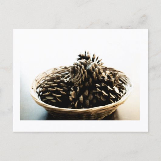 Pine Cones in a Pile Postcard Print by JH Thornton Briefkaart (Voorkant)