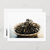 Pine Cones in a Pile Postcard Print by JH Thornton Briefkaart (Voorkant / Achterkant)