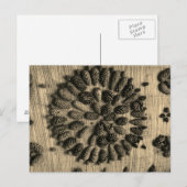 Pine Cones mandala retro foto Briefkaart (Voorkant / Achterkant)